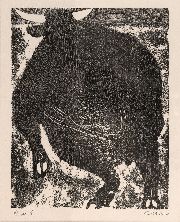 Seoane, toros y Toreros, Toro de Lidia, xilografa, 29 x 24 cm.
