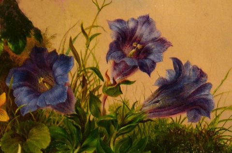 Peeter, Theodor Flores de los Alpes', oleo sobre tela fdo. abajo a la izquierda Theodore Peeter. 38 x 30 cm