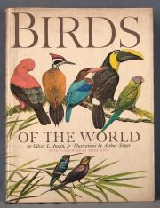 AUSTIN, O; 'Birds of the World', London, 1965.