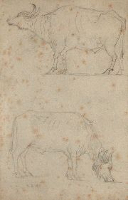 Monvoisin, R.Q. Vacas, dibujo