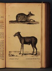 Synopsis of Quadrupeds, printed by J. Monk Chester, 1771. Deterioros.