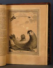 Prevost, Volmenes encuadernados en cuero Histoire Generale des Voyages. 19 vol.