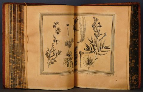 Prevost, Volmenes encuadernados en cuero Histoire Generale des Voyages. 19 vol.