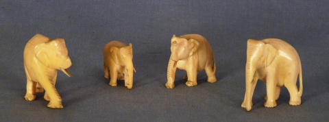 Elefantes distintos tamaños. (4)