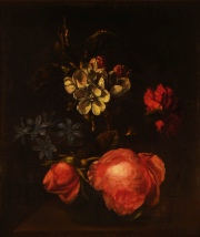 Monnoyer, Jean Baptiste, Vaso con Flores, óleo -72