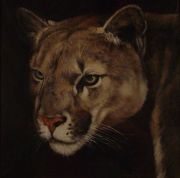 LUCARINI, Camilo 'Puma', óleo sobre tela.