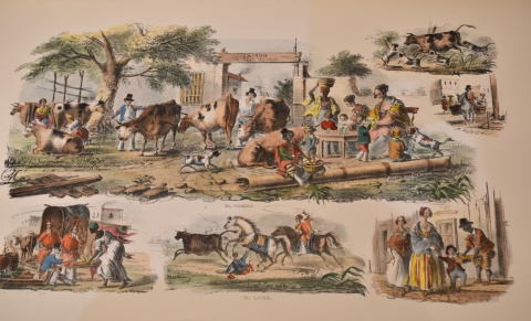 Morel, Carlos. Usos Costumbres Río de La Plata. 1845. album con grabados