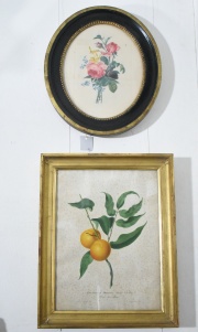 Flores y Frutos, dos grabados a color. Uno oval y otro rectangular. Casa Veltri.