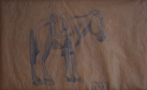 Molina Campos, F: 'Pingo', lápiz de 13 x 22 cm. Cachet de Witcomb. Al dorso certif. M.Elvira P. A. de M. Campos.