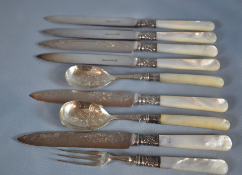 Seis cuchillos, dos cucharas y tenedor con mangos de ncar
