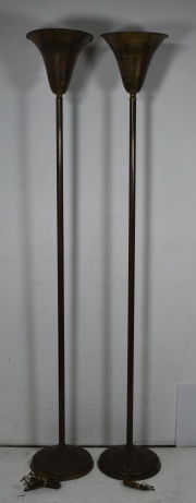 Dos lámparas de pie luz difusa. (1032)