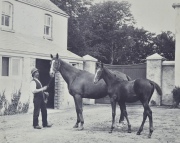 Clarence Hailey, Album con fotograbados de caballos. Deterioro. Ex Libris Daro H. Anasagasti.