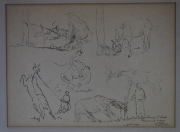 Marenco, E. Domando Caballos, Estudios, tinta y lápiz. Mide: 29 x 40 cm. Colección Normando Carlos Seeber.