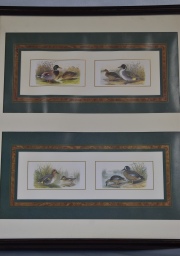 Cuatro Patos, lámina en colores. En 1 marco, Mide: 40 x 37 cm.